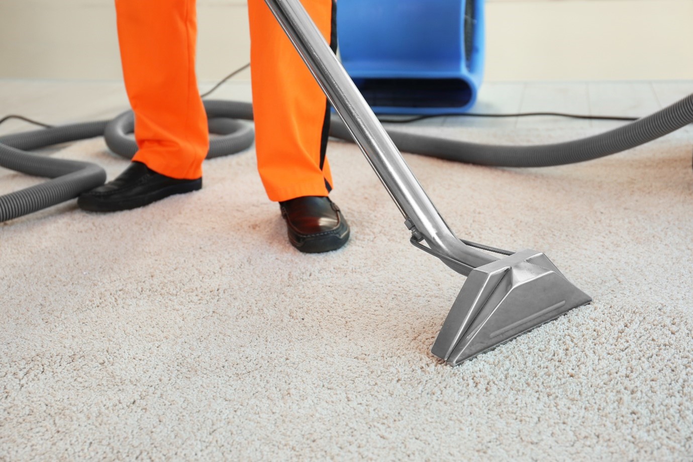 paragon-carpet-cleaning-cape-town