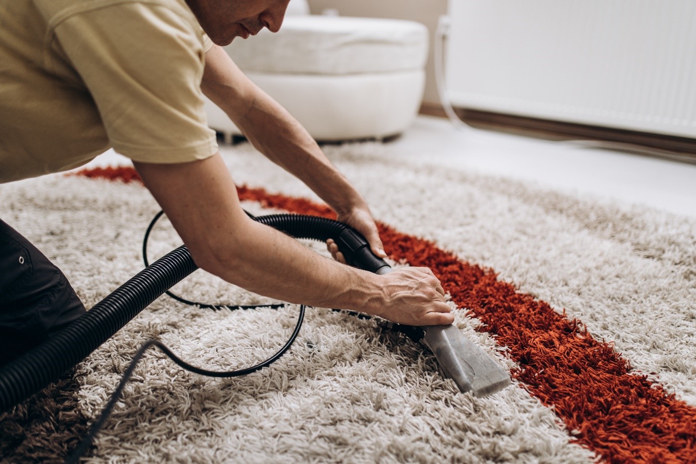 paragon-rug-cleaning-cape-town